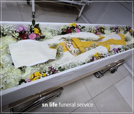 41c5721afa14dfa9c5d1ae3864393bfa_1764121764_9965.jpg 41c5721afa14dfa9c5d1ae3864393bfa_1764121764_9965.jpg