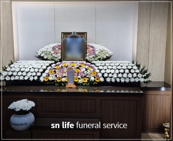 35b4c74c49db74d672a30bd2c44ba122_1766558264_546.jpg 35b4c74c49db74d672a30bd2c44ba122_1766558264_546.jpg