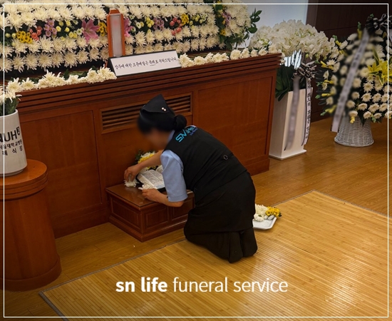 c112a9dcd1bf070dde511458452ab8b1_1768356057_6213.jpg c112a9dcd1bf070dde511458452ab8b1_1768356057_6213.jpg