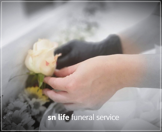 cbe15c2d10c1f5fd4a8140b056edcb27_1771489686_528.jpg cbe15c2d10c1f5fd4a8140b056edcb27_1771489686_528.jpg