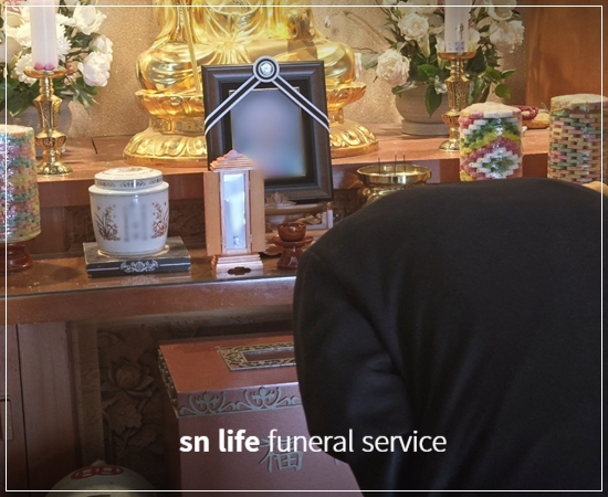 700a7c98081e76e9ae69f76eac4491a2_1773995145_0962.jpg 700a7c98081e76e9ae69f76eac4491a2_1773995145_0962.jpg